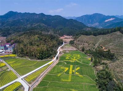 土壤污染物質(zhì)及發(fā)生主要類(lèi)型有哪些空調一直嗡嗡響噪音老大咋處理啊